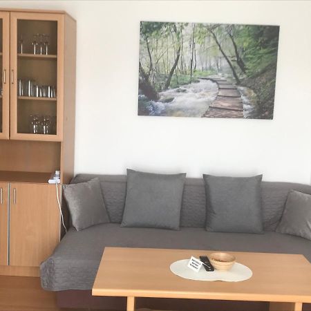 Apartmani Kuzmanovic Stan Na Dan 多博伊 外观 照片