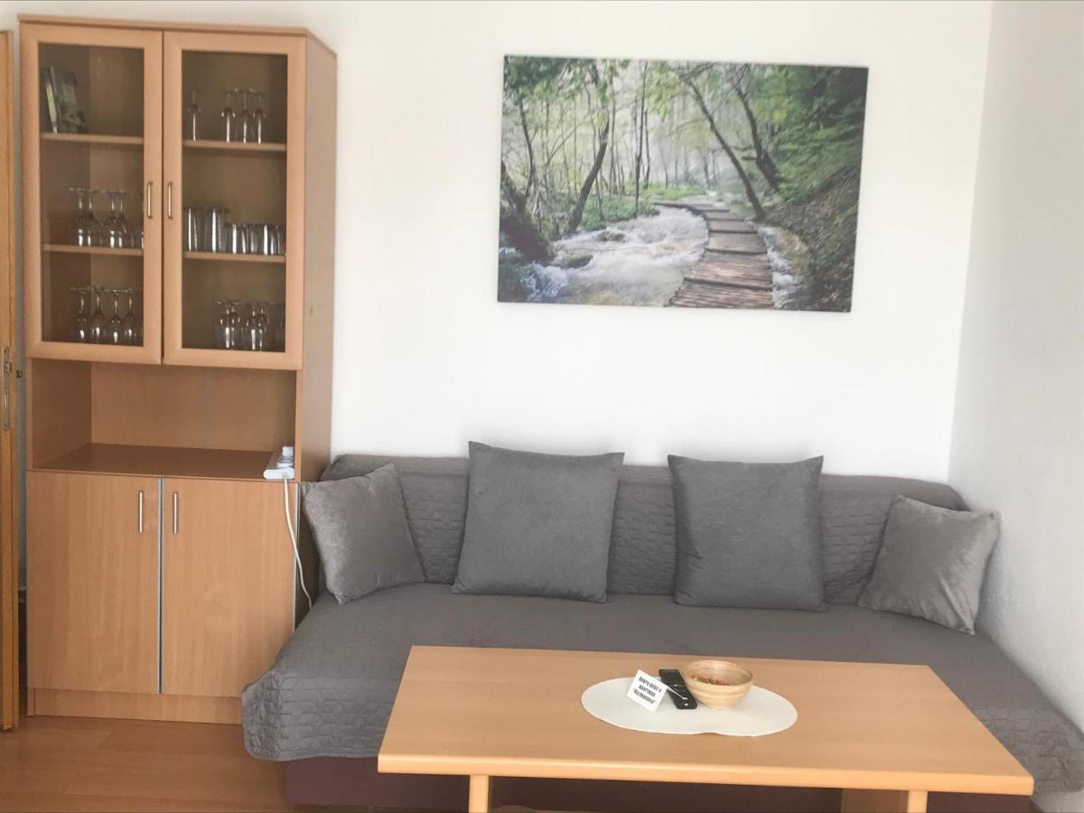 Apartmani Kuzmanovic Stan Na Dan 多博伊 外观 照片